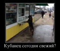 Kubanets-segodnya-svezhij demotivators ru.jpg